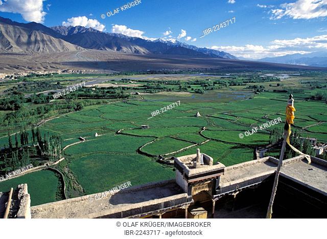 Indus Valley, Tikse Monastery, Ladakh, Indian Himalayas, North India, India, Asia