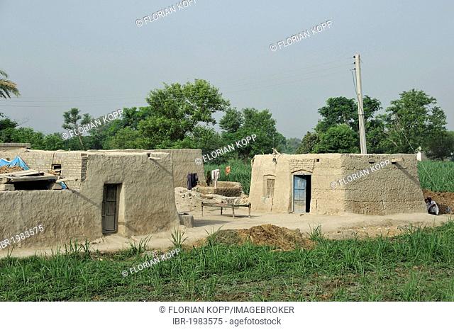 Village with traditional mud-brick houses, Lashari Wala village, Punjab, Pakistan, Asia