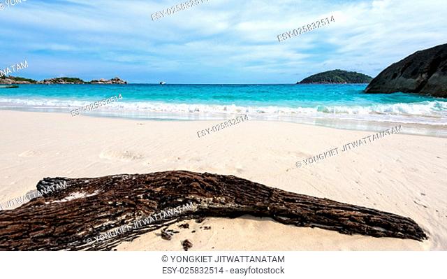 Old driftwood blue sea white sand and waves on the beach, beautiful nature during summer at Koh Miang island in Mu Ko Similan National Park, Phang Nga province