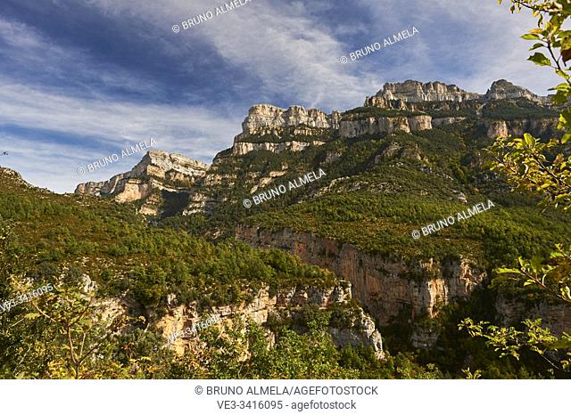 Pyrenean forest and mountains in Añisclo Canyon, Ordesa and Monte Perdido National Park, Huesca province, Aragon (Spain)
