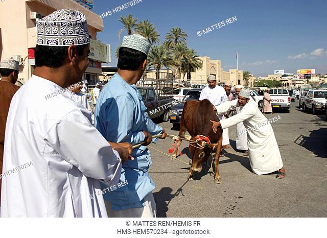 Sultanate of Oman, Al Dakhiliyah Region, Western Hajar Mountains, Nizwa, Friday cattle market