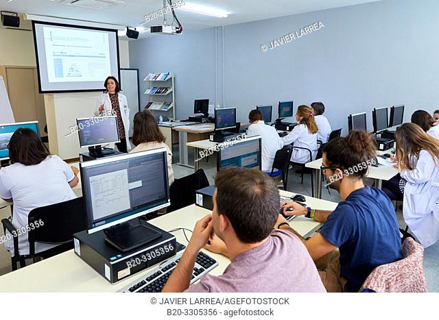 Computer training course for health professional, Library, Hospital Donostia, San Sebastian, Gipuzkoa, Basque Country, Spain