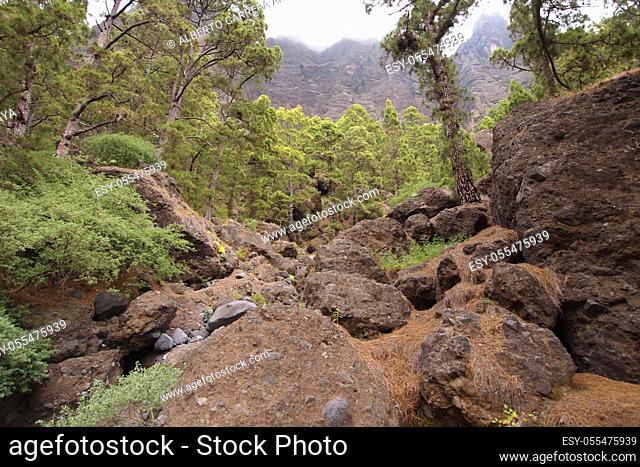 Barranco de Las Piedras Redondas, Magmatic rocks, Caldera de Taburiente National Park, Biosphere Reserve, ZEPA, LIC, La Palma, Canary Islands, Spain, Europe
