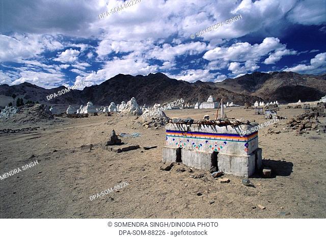 Choglamsar , Leh , Ladakh , Jammu and Kashmir , India