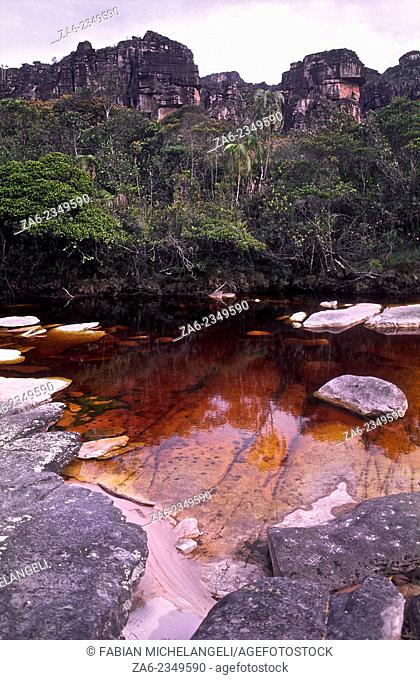 Tea-colored stream on the Auyantepuy summit. Canaima National Park, Bolivar State. Venezuela