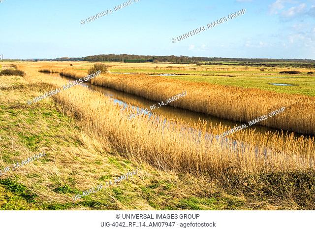 Views of salt marshes surrounded by reeds, from Norfolk Coast path National Trail near Burnham Overy Staithe, East Anglia, England, UK