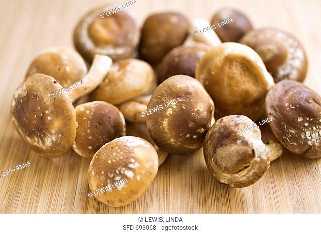 Many Fresh Shiitake Mushrooms