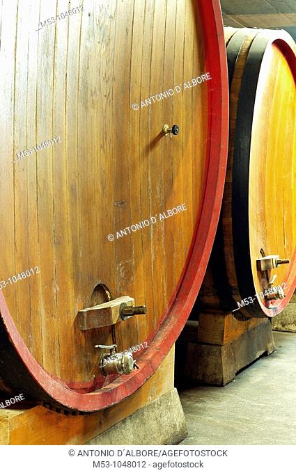 large size wooden aging barrells in a large underground winery  dugenta  province of benevento  italy  europe