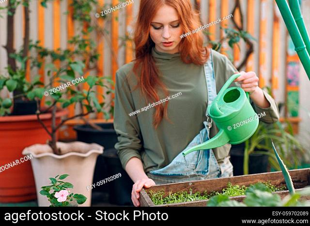 Home gardening concept. Young woman plants floral in greenhouse