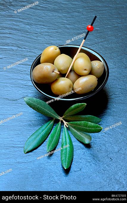 Greek olives from Chalkidiki in small bowls, olive branch, Germany, Europe