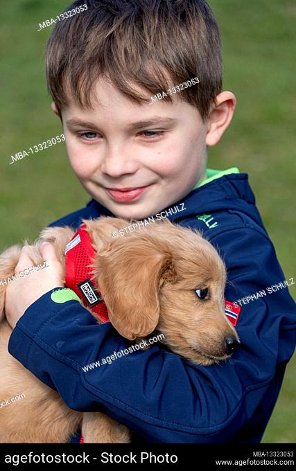 A boy is holding a puppy (Mini Goldendoodle) dog