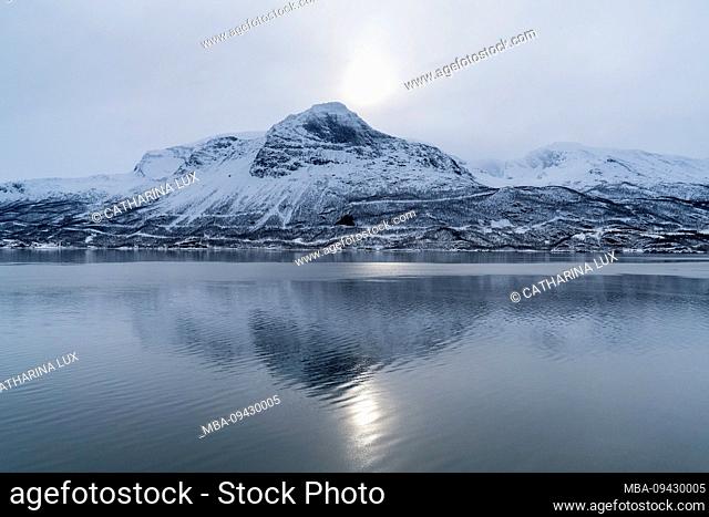Norway, Narvik, winter, Rombaken fjord at Nygård