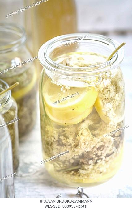Preserving jar of elderflowers, Sambucus nigra, lemon slices and sugar for making elderflower cordial