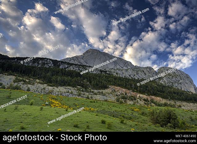 Pedraforca South face seen from Coll de Jou and meadows in the old Saldes mines (BerguedÃ , Catalonia, Spain, Pyrenees)