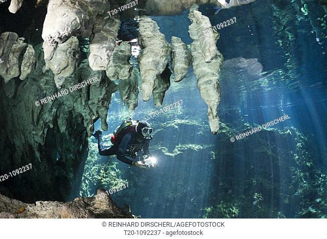 Scuba Diver in Gran Cenote, Tulum, Yucatan Peninsula, Mexico