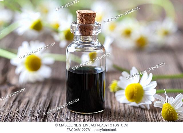 A bottle of dark blue German chamomile essential oil and fresh flowers in the background
