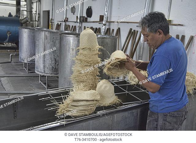 Making traditional Panama hats (paja toquilla), which actually come from Ecuador