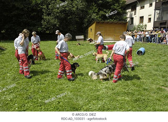 Training for Rescue Dogs Schweinfurt Bavaria Germany
