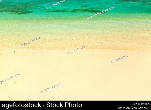 Tropical Maldives beach - nature travel background