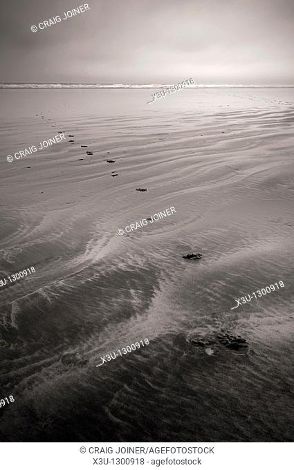 Footprints in the sand at low tide at Westward Ho!, Devon, England, United Kingdom