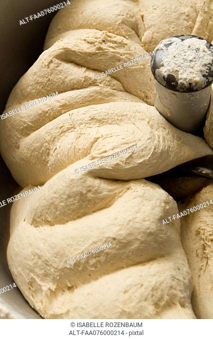 Fresh bread dough