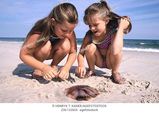 Girls on a beach looking jelly fish