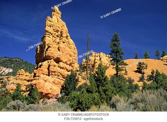 Hoodoo in Red Canyon State Park near Bryce Canyon, Utah, USA