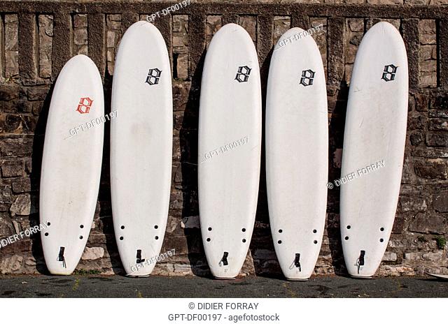 SURFBOARDS LINED UP ALONG THE COTE DES BASQUES BEACH, BIARRITZ, BASQUE COUNTRY, PYRENEES-ATLANTIQUES 64, AQUITAINE, FRANCE