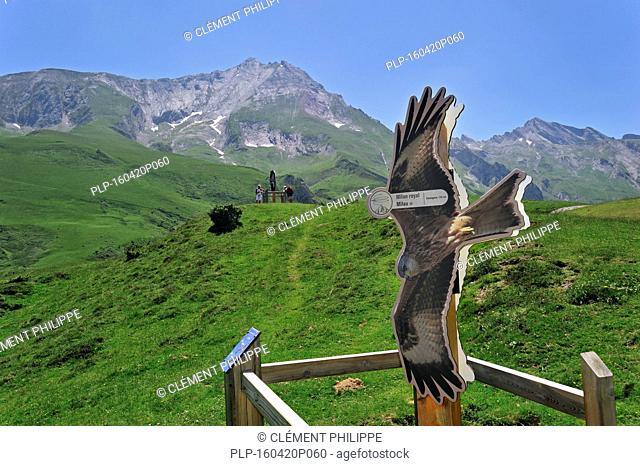 Viewpoint with sign depicting a Red kite (Milvus milvus) for watching birds of prey at the Col du Soulor, Hautes-Pyrénées, Pyrenees, France