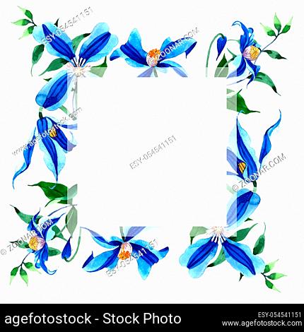 Blue durandii clematis. Floral botanical flower. Frame border ornament square.Aquarelle wildflower for background, texture, wrapper pattern, frame or border