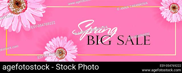 Spring banner with realistic flowers on a pink background. Vector illustration. The banner is ideal for promotions, magazines, advertising, websites