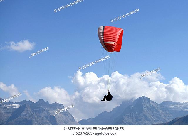 Paragliding over the Valais Alps, Goms, Switzerland, Europe