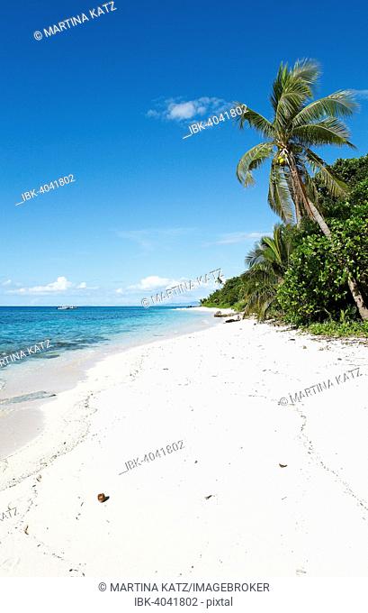 Beach with palm trees, Vomo Island, Mamanuca Islands, Fiji