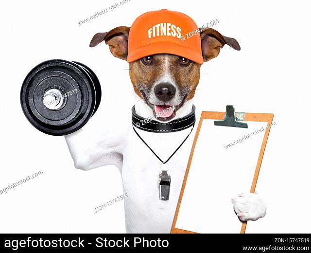 personal trainer dog with dumbbells and a clipboard