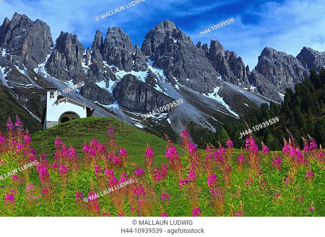 Austria, Europe, Tyrol, Grinzens, alp Kemat, Alp, chapel, meadow, flowers, fireweed, willowherb, mountains, snow, summer, Kalkkögel, sky, clouds, nature