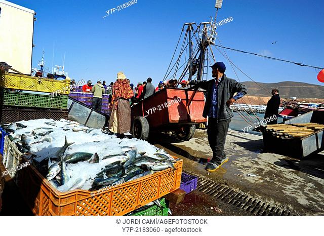 Unloading fish at Sidi Ifni harbor. Morocco .North Africa