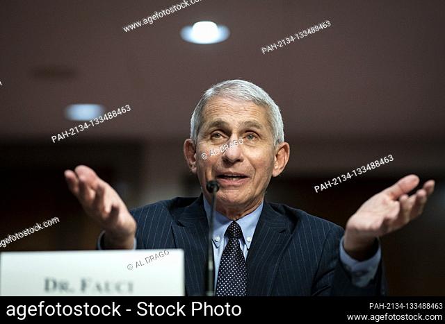 Anthony Fauci, director of the National Institute of Allergy and Infectious Diseases, speaks during a Senate Health, Education