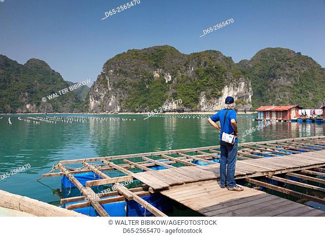 Vietnam, Halong Bay, floating cultured pearl farm