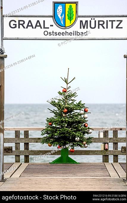 16 December 2023, Mecklenburg-Western Pomerania, Graal-Müritz: A Christmas tree stands on the pier of the Baltic seaside resort