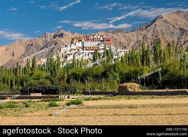 The Thikse Monastery of Central Ladakh ? a distant panorama from the agriculture fields in the village. From this perspective it resembles the Potala Palace in...