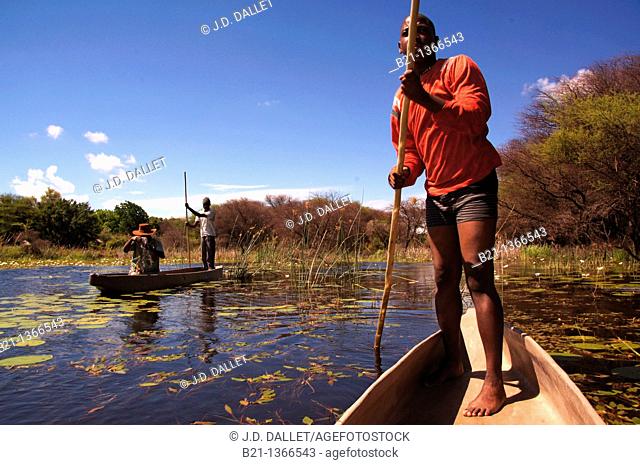 On 'moroko' dug-out canoe at the Okavango Delta, Botswana