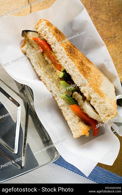 Vegetable sandwich made with toast on toaster