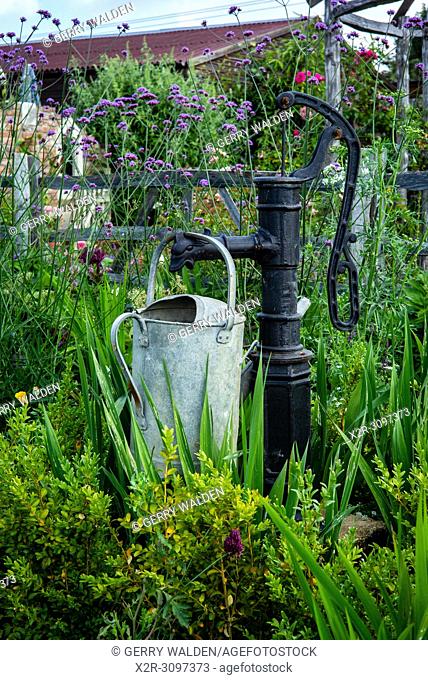 (New Forest Lavender Gardens, Wiltshire, England)