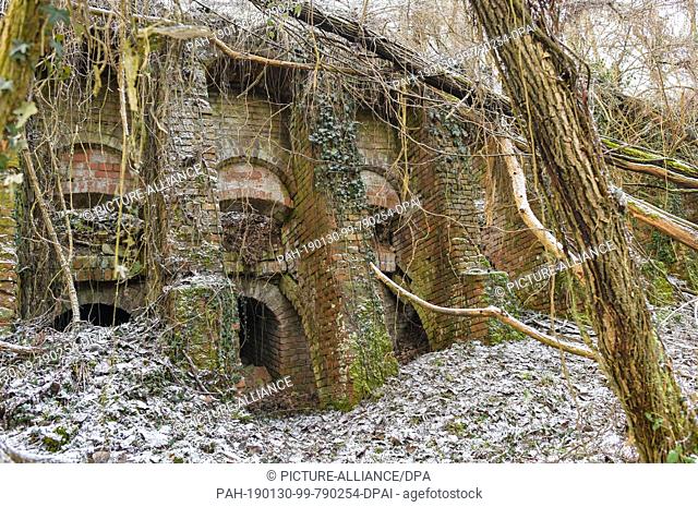 29 January 2019, Brandenburg, Sauen: The ivy-covered and partially sunken building of the old steam brickworks Philipp Holzmann & Cie