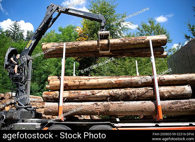 05 August 2020, Baden-Wuerttemberg, Oberrot: A worker loads a truck with logs. The Minister of Forestry is responsible for the welfare of the forests
