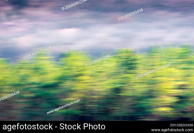 The forest and the rainy cloudy sky in motion blur