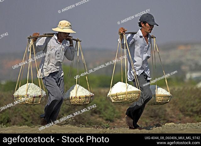 Two men carry salt in wicker pannier baskets along dyke between salt ponds Vietnam