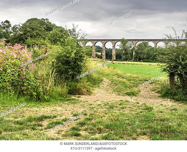 Footpath below the Crimple Valley Viaduct near Pannal Harrogate North Yorkshire England