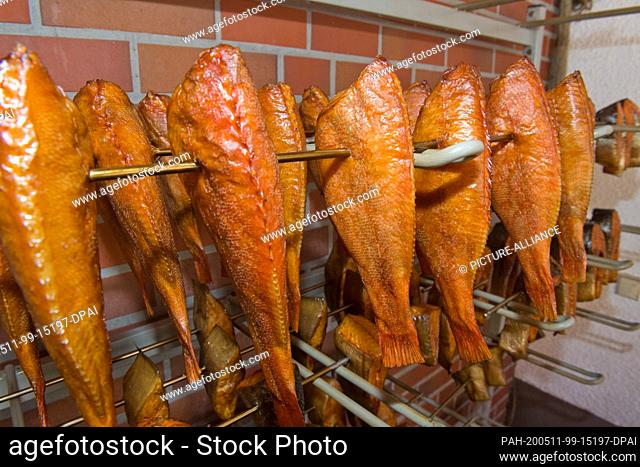 07 May 2020, Mecklenburg-Western Pomerania, Koserow: Smoked fish fresh from the smoking oven, recorded in Kosreow on the island of Usedom