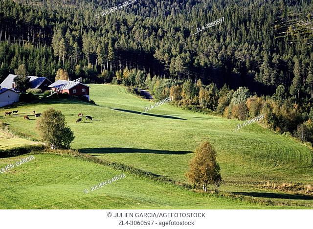 Norway, Oppland, Vaga, Jotunheimen National Park, farm and fields